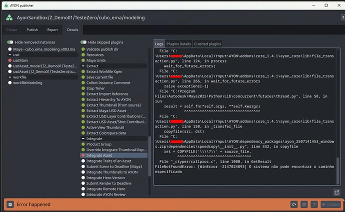 The error report screengrab